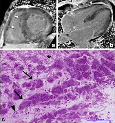 Fig. 10