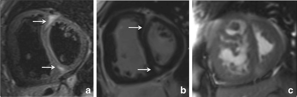 Fig. 8