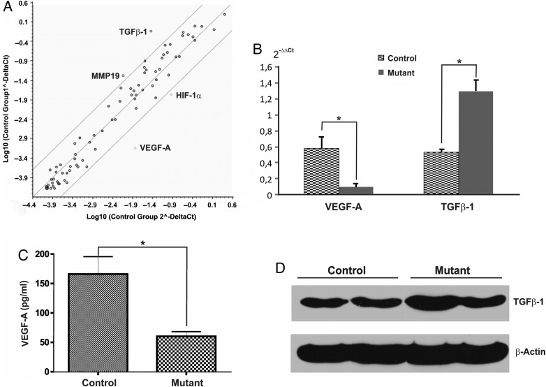 Fig. 3.