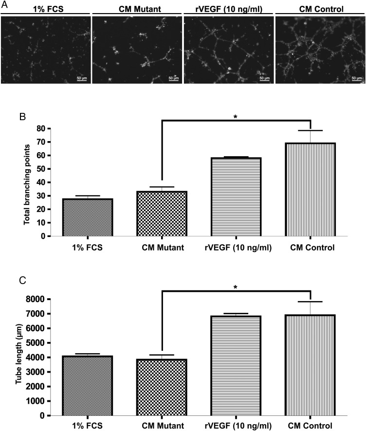 Fig. 4.