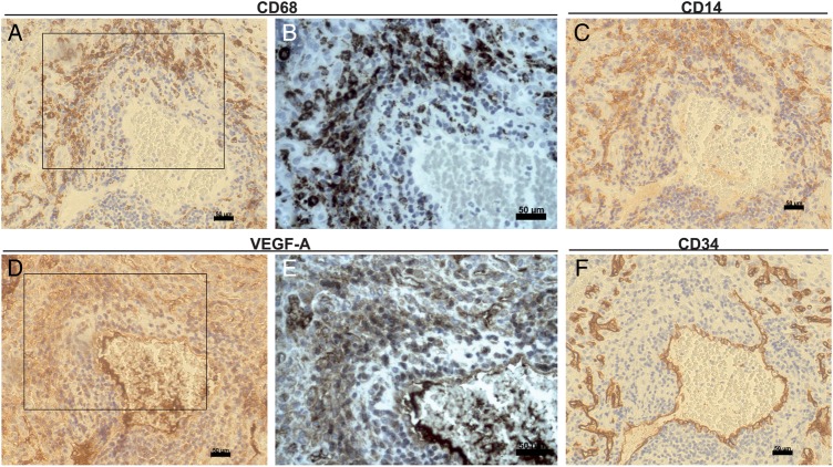 Fig. 6.