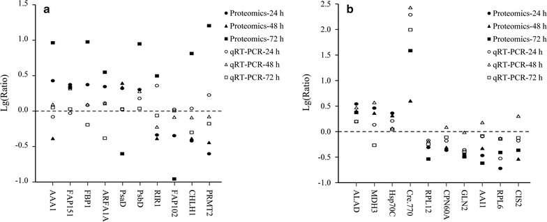 Fig. 4