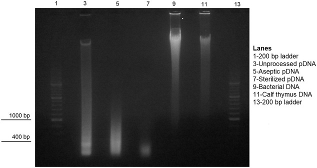 Supplemental Fig 1