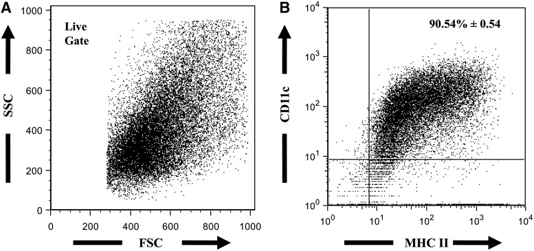 FIG. 1.