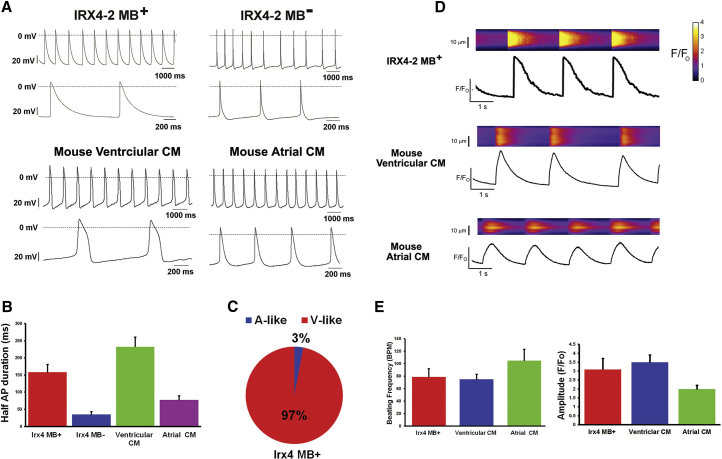 Figure 3