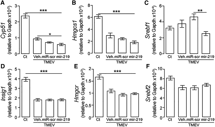 Figure 7