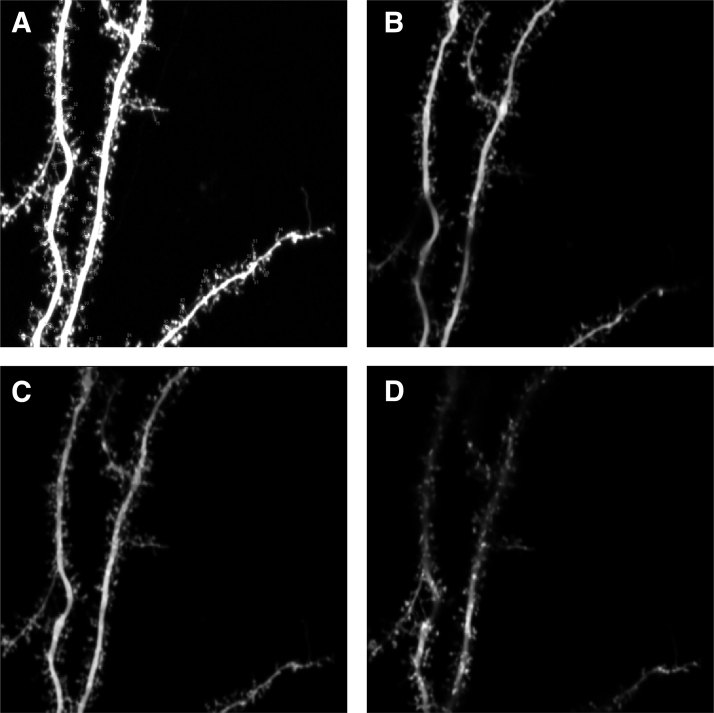 FIG. 7.