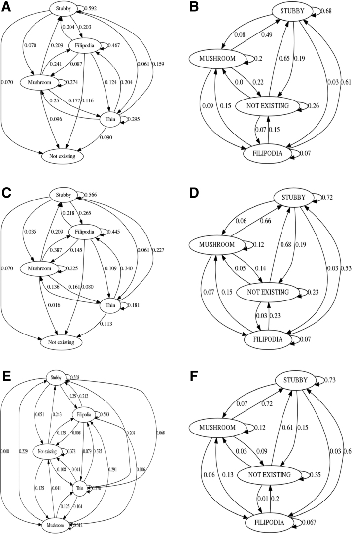 FIG. 6.