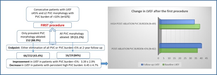 Graphical Abstract