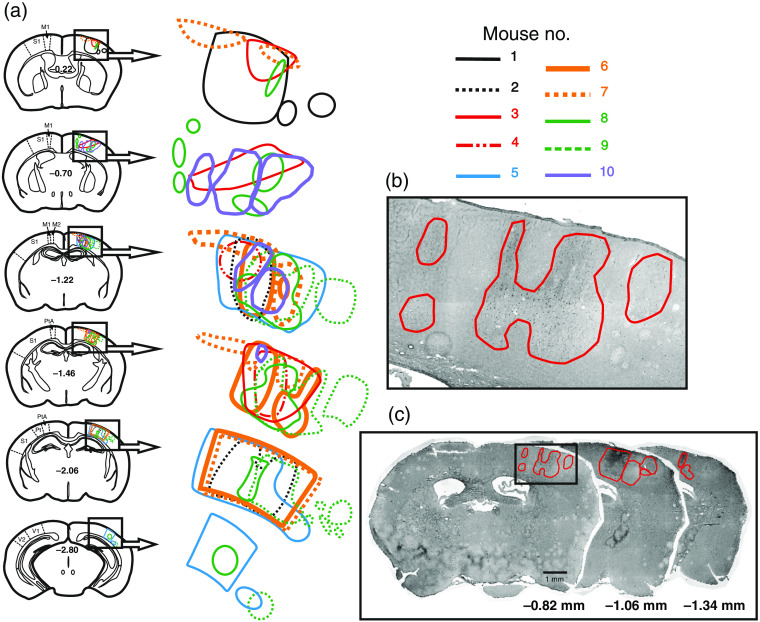 Fig. 7