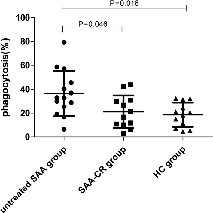 FIGURE 2