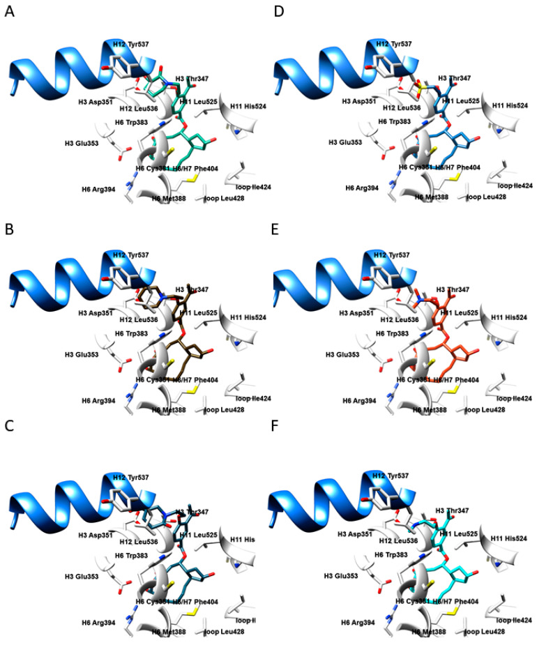 Figure 7