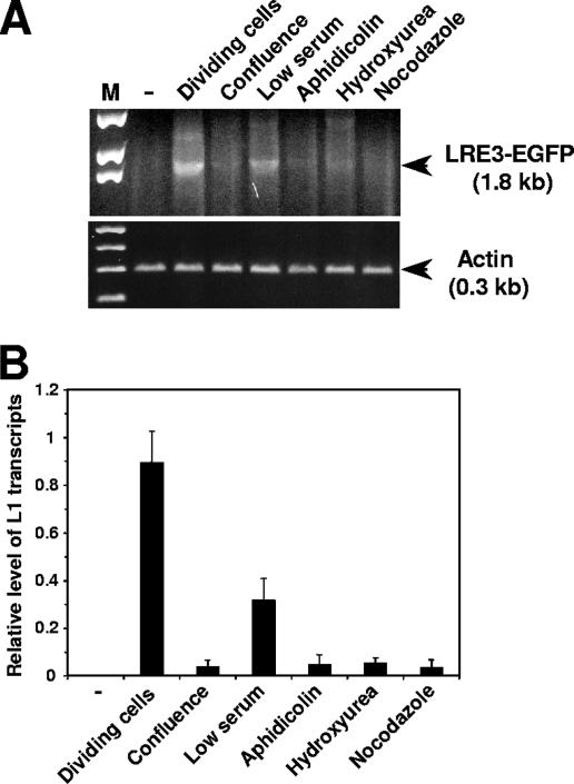 FIG. 5.