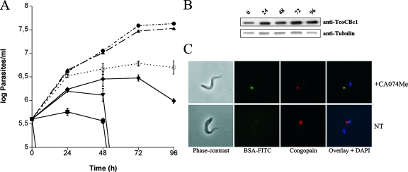 FIG. 8.