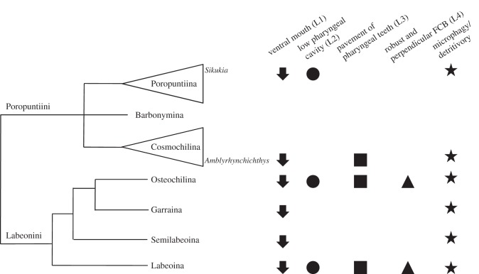 Figure 4.