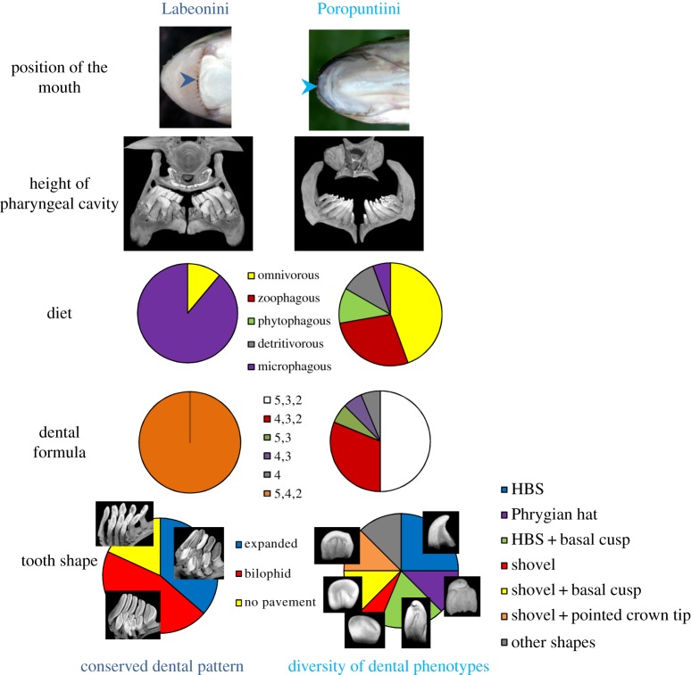 Figure 3.