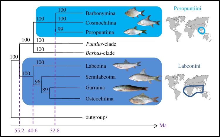 Figure 1.