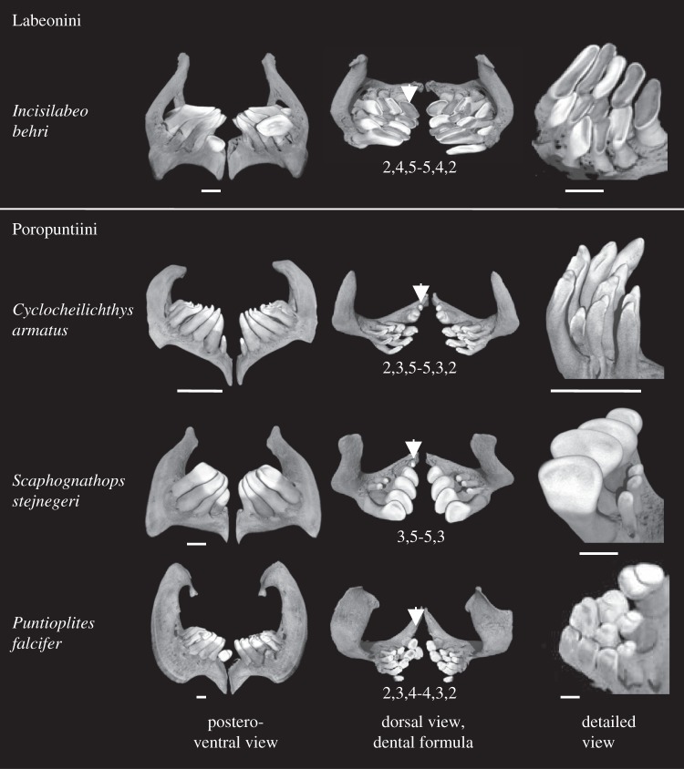 Figure 2.