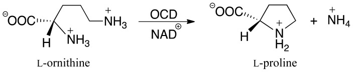 Scheme I