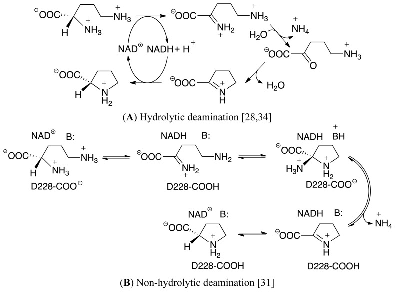 Scheme II