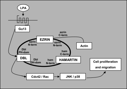 FIGURE 7.