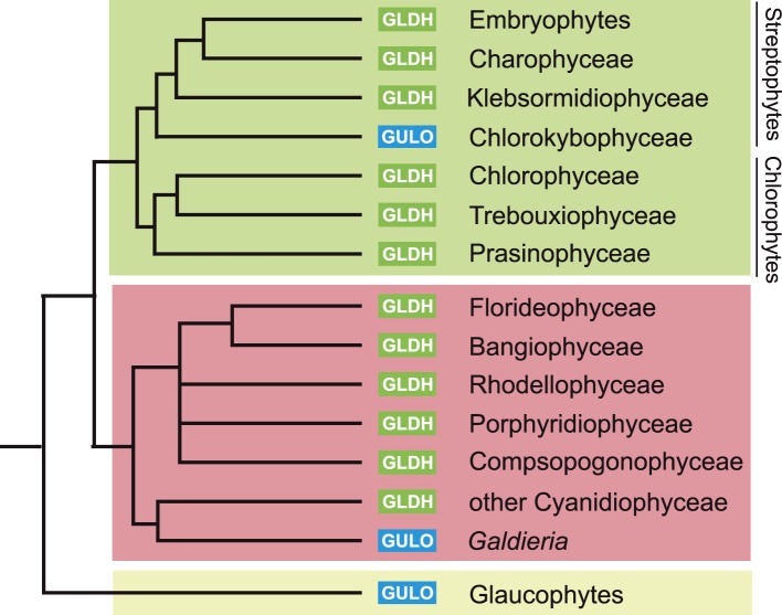 Figure 2—figure supplement 1.