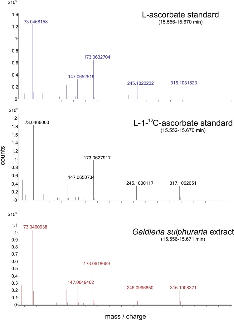 Figure 4—figure supplement 1.