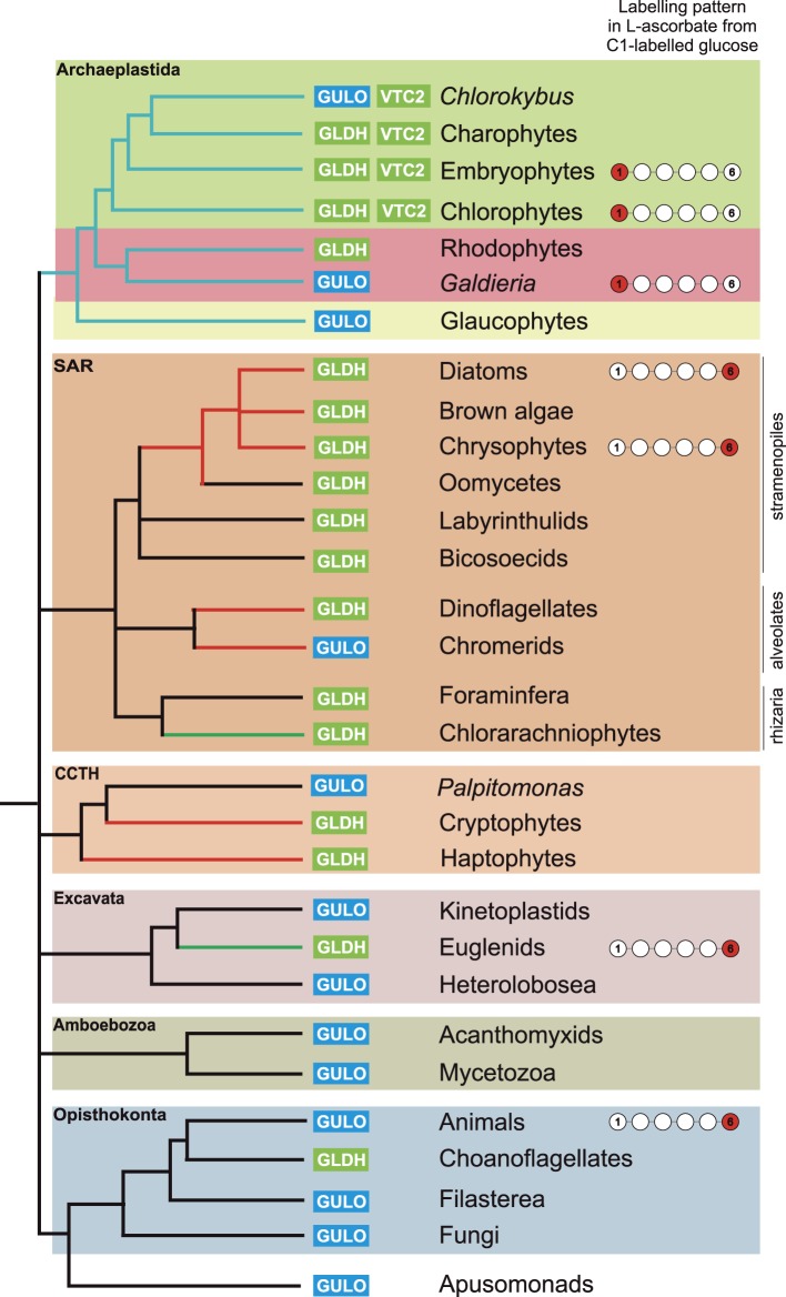 Figure 2—figure supplement 2.