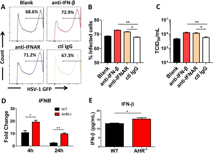 FIG 3