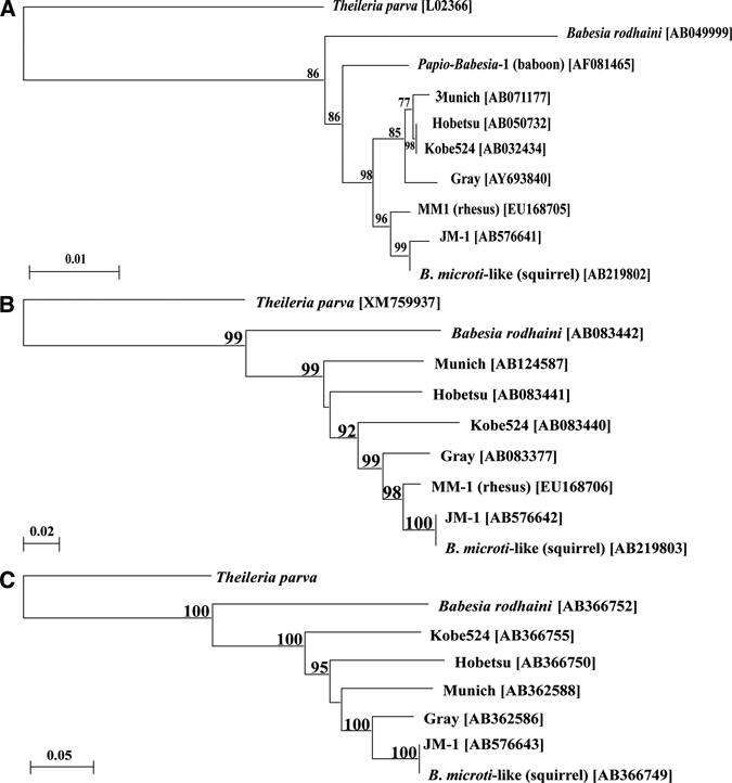 Figure 2.