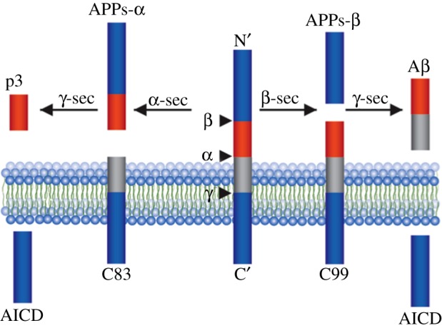 Figure 1.