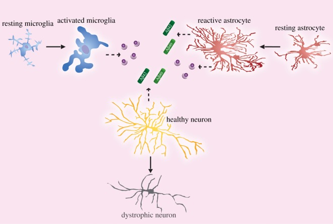 Figure 4.