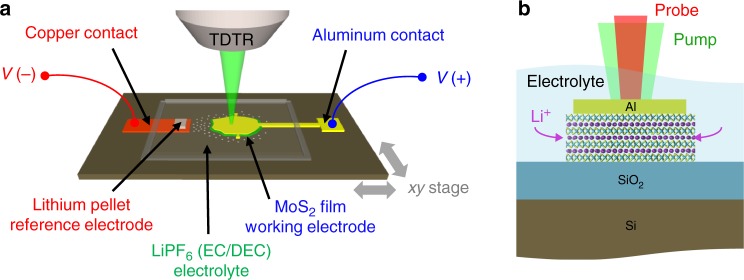 Fig. 1