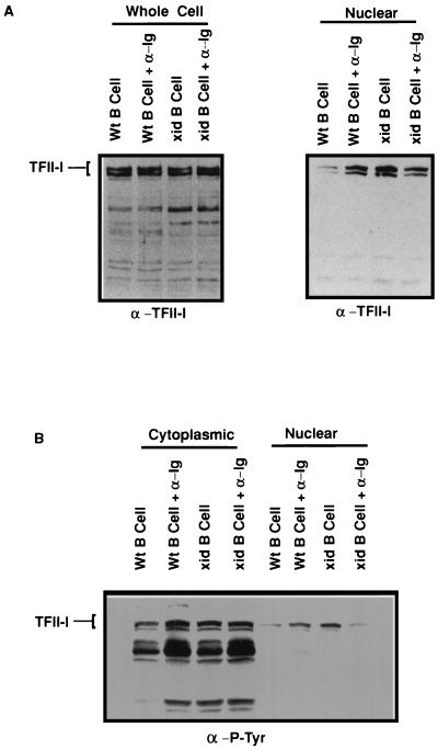 FIG. 7