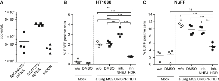 Figure 6