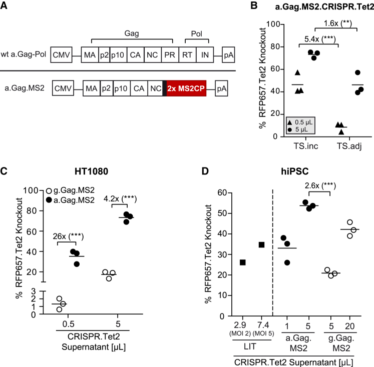 Figure 2