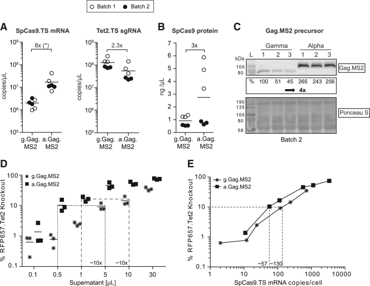 Figure 3