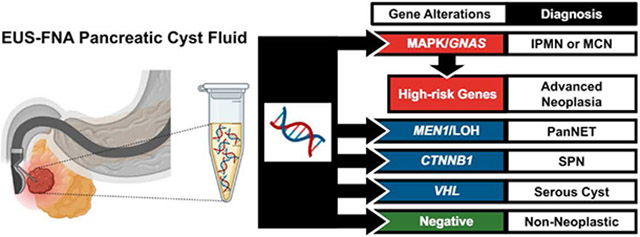 graphic file with name nihms-1859817-f0001.jpg