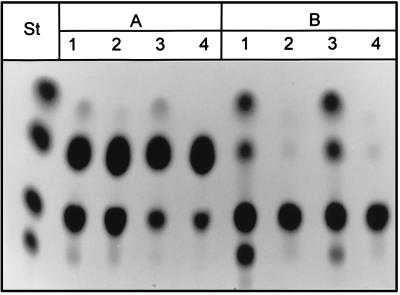 FIG. 6