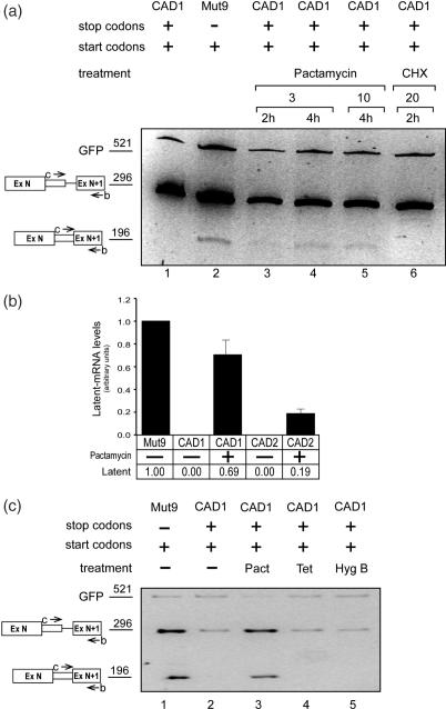 Figure 6