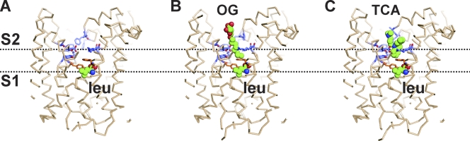 Figure 2.