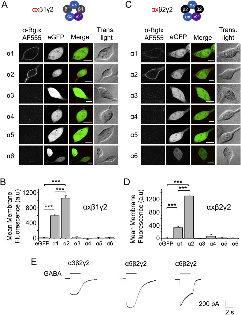 Fig. 2