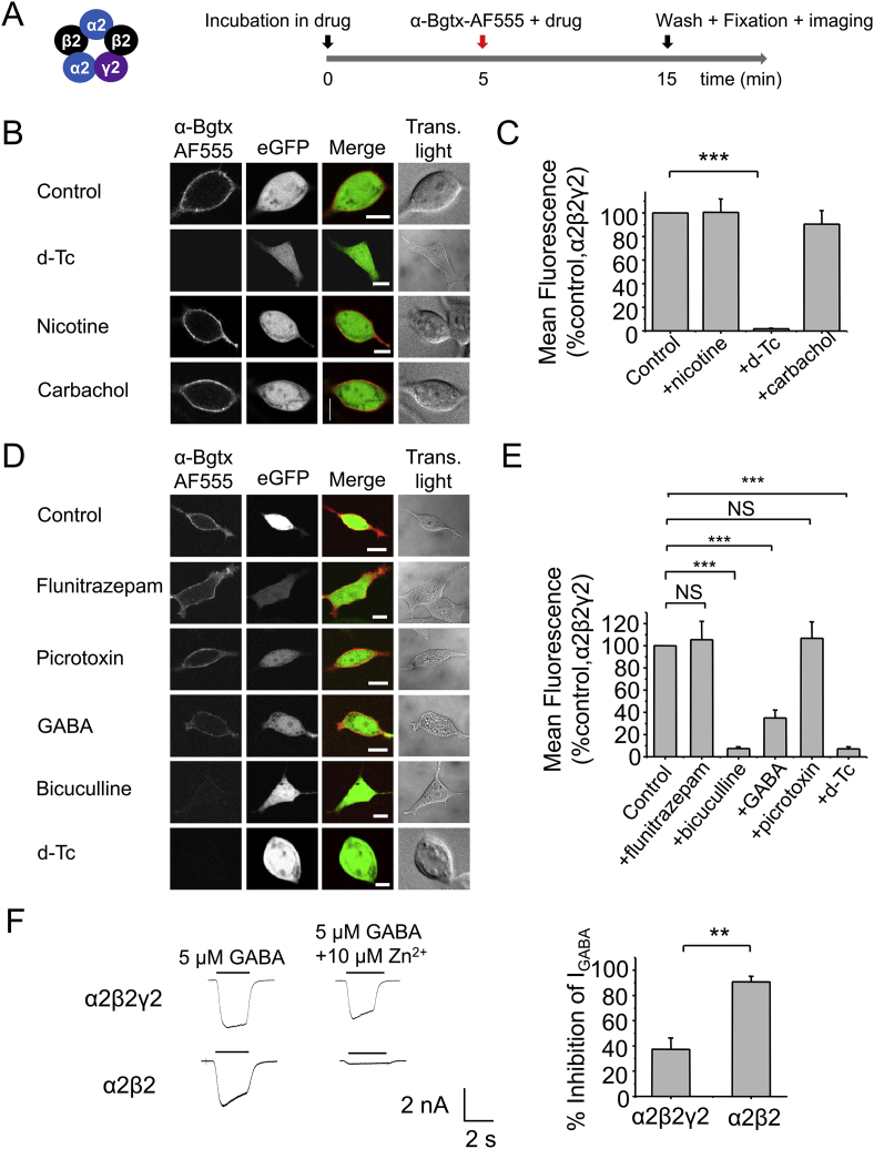 Fig. 4