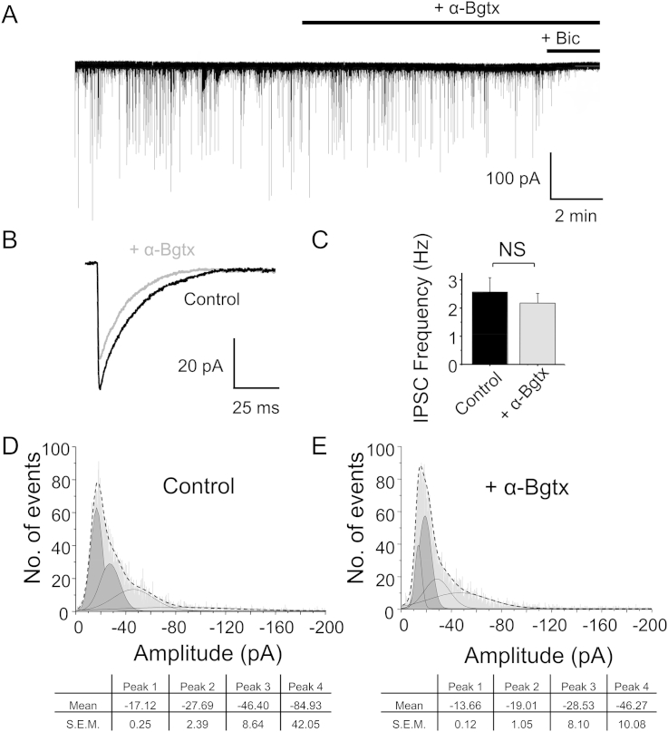 Fig. 7