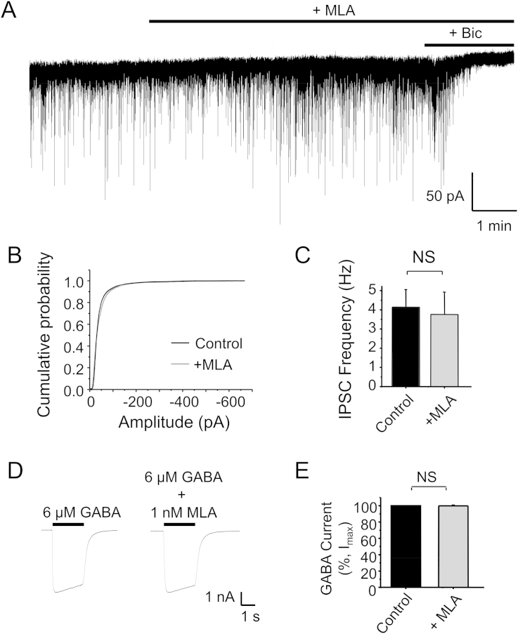 Fig. 6