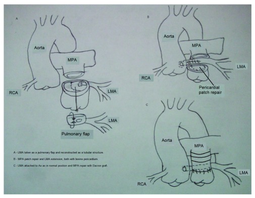 Figure 3. 