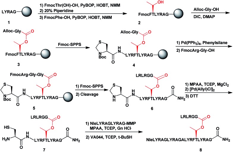 Scheme 1