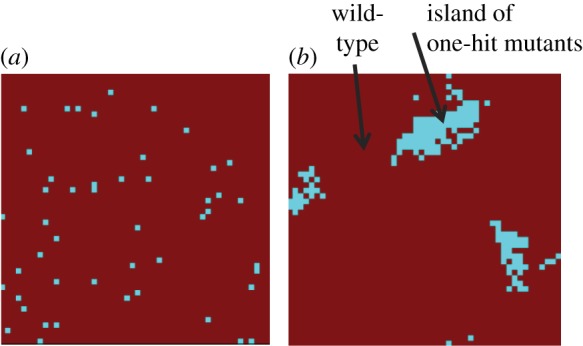 Figure 3.