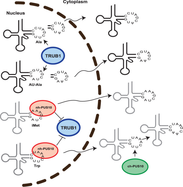 FIGURE 7.