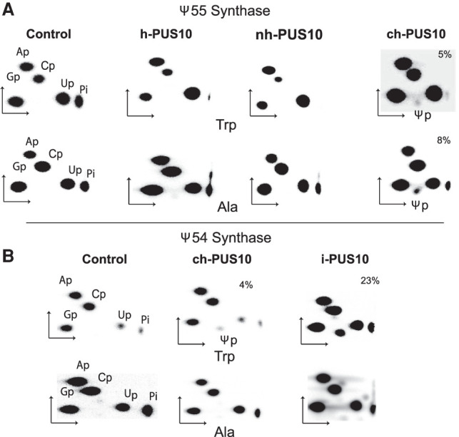 FIGURE 4.